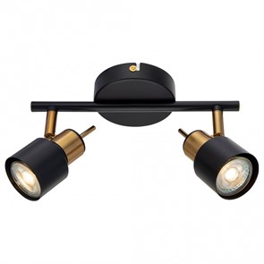 Спот Arte Lamp Almach A1906PL-2BK AR_A1906PL-2BK