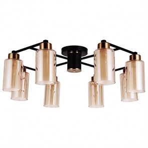 Потолочная люстра Arte Lamp Leo A7027PL-8BK AR_A7027PL-8BK