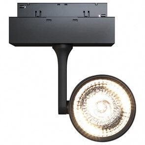 Светильник на штанге Maytoni Track lamps 3 TR024-2-10B3K MY_TR024-2-10B3K