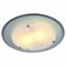 Накладной светильник Arte Lamp Ariel A4806PL-1CC AR_A4806PL-1CC - фото 11230884