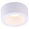 Накладной светильник Arte Lamp Effetto A5553PL-1WH AR_A5553PL-1WH - фото 11232647