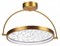 Светильник на штанге Odeon Light Solaris 6627/36CL OD_6627_36CL - фото 11342766