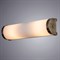 Накладной светильник Arte Lamp Aqua-Bara A5210AP-2AB - фото 3553593