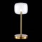 Настольная лампа декоративная ST-Luce Finn SL1049.304.01 - фото 3558276