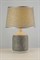 Настольная лампа декоративная Arti Lampadari Canino Canino E 4.1.T1 GY - фото 3583569