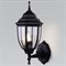 Светильник на штанге Elektrostandard Feba Feba D черный (35147/D) - фото 3648031