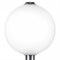 Настольная лампа декоративная Lightstar Colore 805916 - фото 3801134