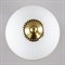 Настольная лампа декоративная Citilux Адриана CL405813 - фото 3859227