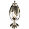 Настольная лампа декоративная Citilux Garuda CL420813 - фото 3862875