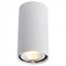 Накладной светильник Arte Lamp Unix A1516PL-1WH AR_A1516PL-1WH - фото 6659237