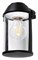 Накладной светильник Arte Lamp Minchir A8306AL-1BK AR_A8306AL-1BK - фото 6662919