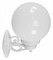 Светильник на штанге Fumagalli Globe 250 G25.131.000.WYF1R FU_G25.131.000.WYF1R - фото 9757011