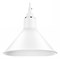 Подвесной светильник Lightstar Loft 765026 LS_765026 - фото 9789235